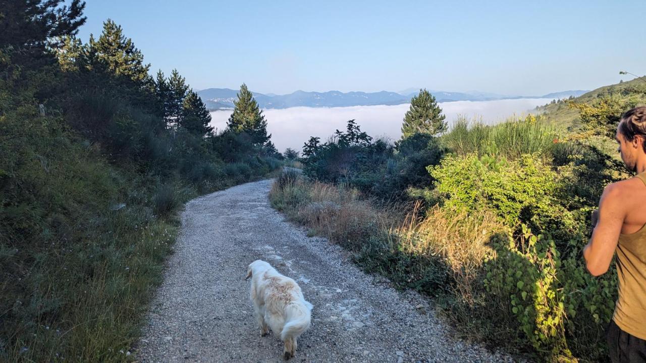 Grande Maison Carpediem, Le Calme A La Campagne Cassaignes Buitenkant foto